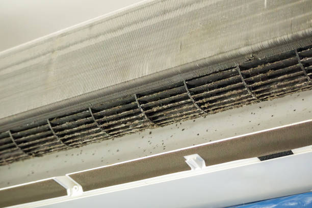 Best HVAC System Cleaning in Ciborne, LA